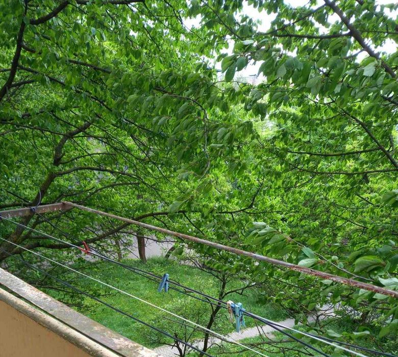 Квартира на вул. Довженка в Івано-Франківську, ID 256065, фото №10