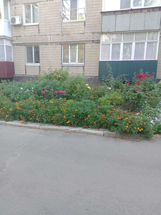 Квартира на 7 Заречний в Кривому Розі, ID 256194, фото №1