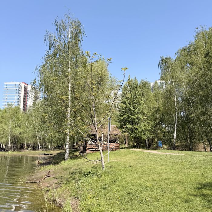 Квартира на вул. Гліба Бабіча, 8Г в Києві, ID 164219, фото №18