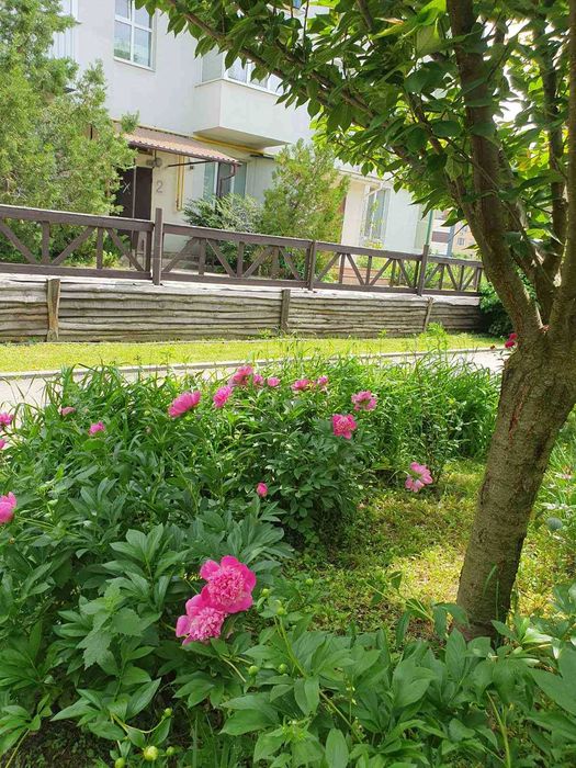 Квартира на ЖК Журавлівський в Харкові, ID 202039, фото №12