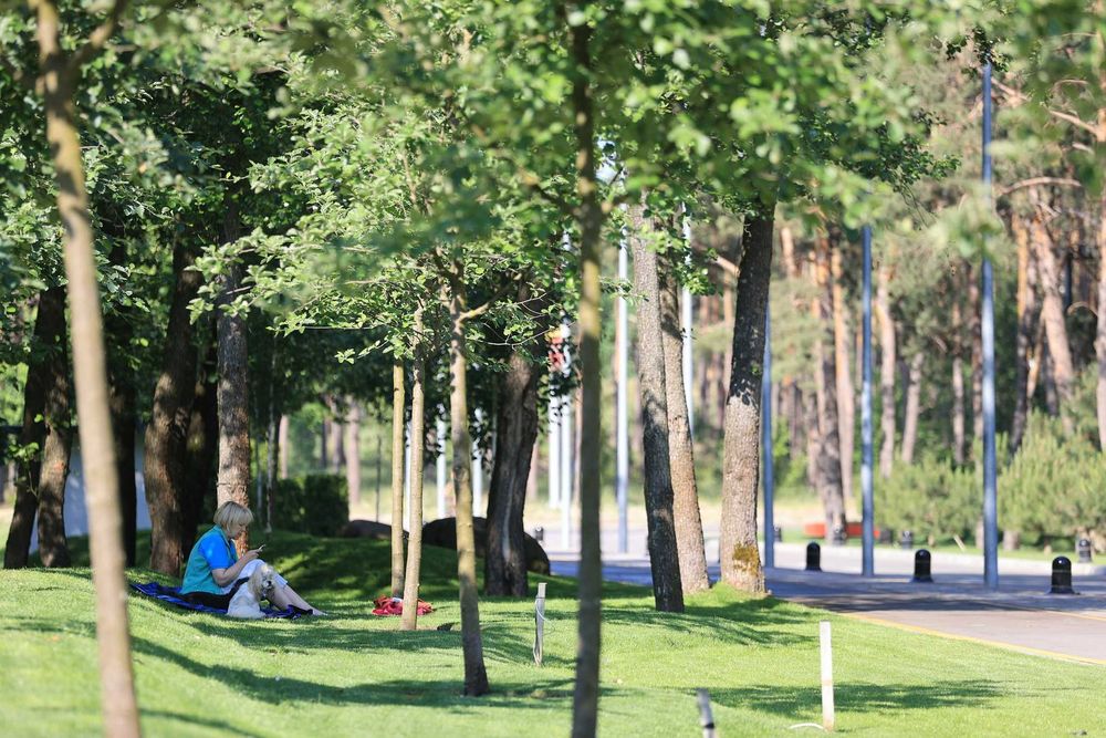 Квартира на ЖК Молодість в Києві, ID 290350, фото №3
