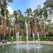 Квартира на вул. Сім`ї Стешенків, 9 в Києві, ID 205732, фото №15