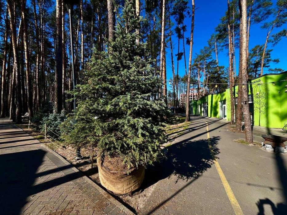Квартира на вул. Соборна в Києві, ID 330152, фото №21