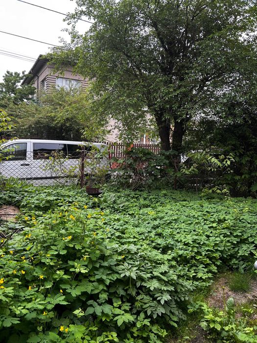Квартира на вул. Голубця в Львів, ID 190436, фото №4