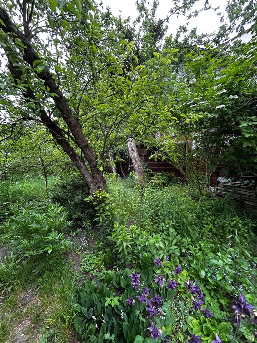 Квартира на вул. Голубця в Львові, ID 190436, фото №7