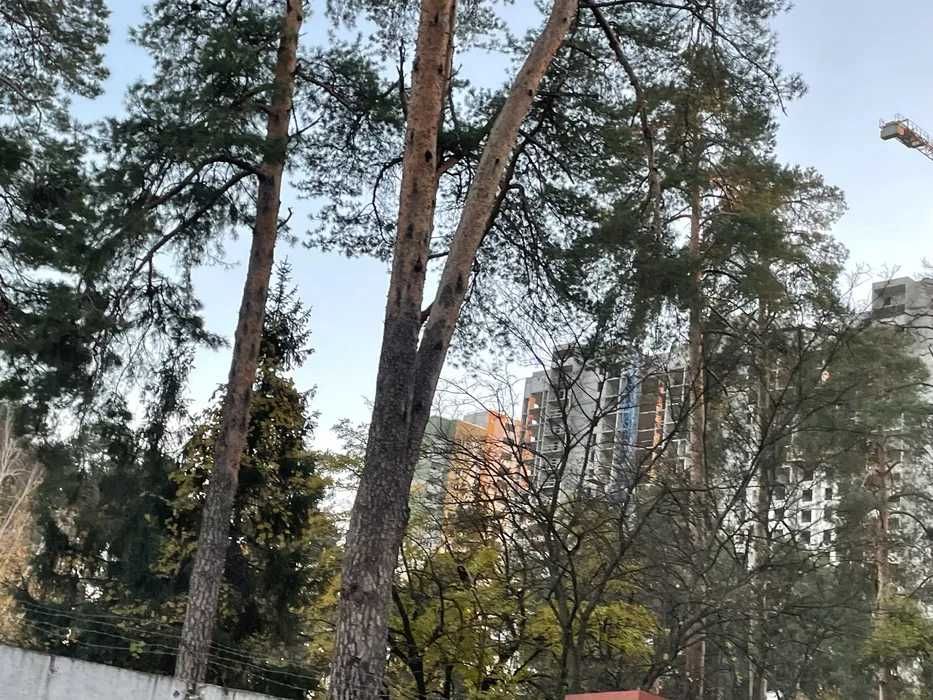 Квартира на ЖК Вудсторія в Києві, ID 260065, фото №2
