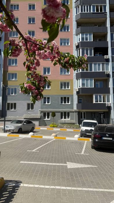 Квартира в Київ, ID 309186, фото №1