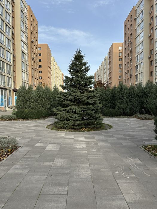 Квартира на вул. Героїв Небесної Сотні, 26/15 в Києві, ID 236135, фото №22