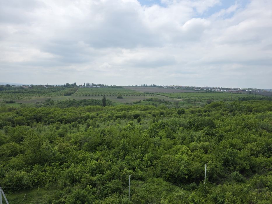Квартира на вул. Г.Майдану в Чернівцях, ID 246951, фото №2