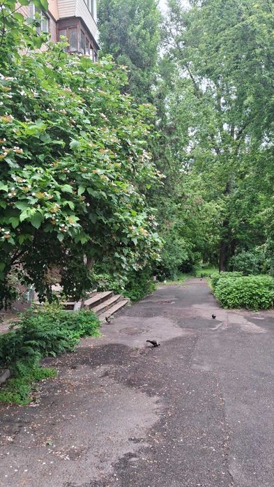 Квартира на вул. Генерала Воробйова, 4/1 в Києві, ID 406490, фото №16