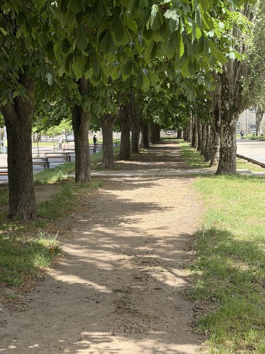 Квартира на ЖК «Золоті Стовпи» в Одесі, ID 173212, фото №9