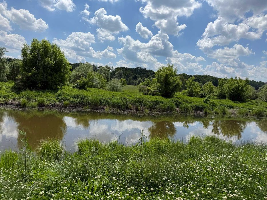 Квартира в Київ, ID 308589, фото №2