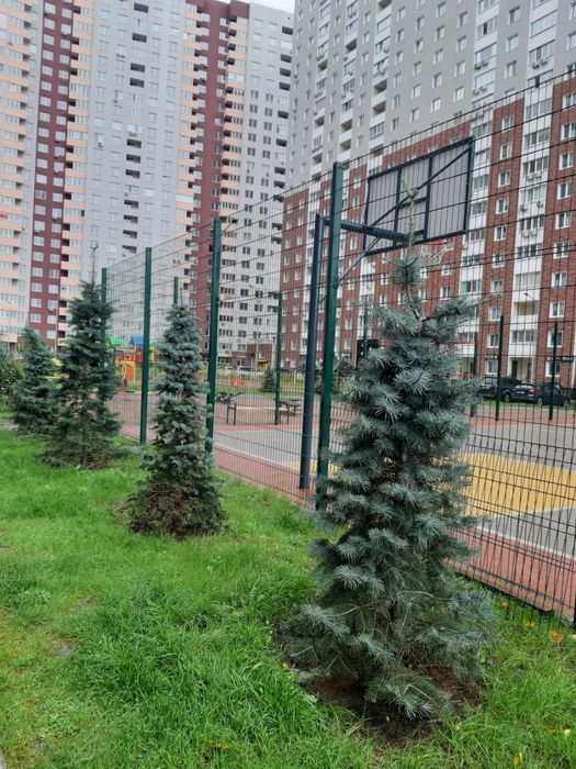 Квартира на пров. Балтійський, 1 в Києві, ID 162139, фото №17