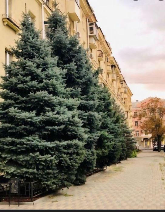 Квартира на просп. Героїв Харкова, 15 в Харкові, ID 190994, фото №2