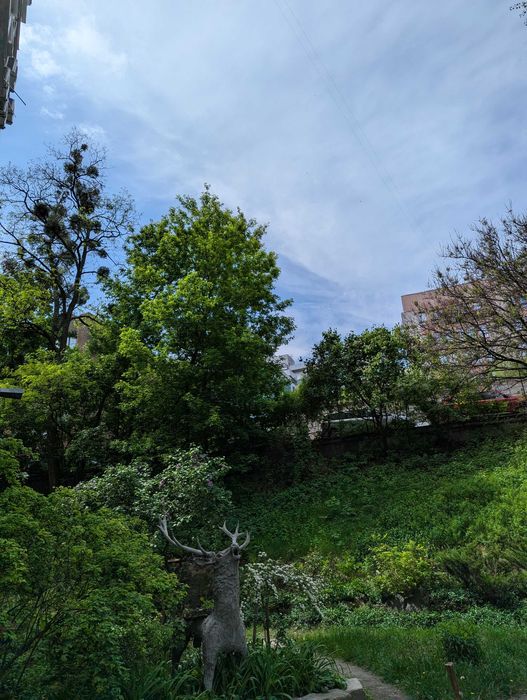 Квартира на вул. Генерала Шаповала, 7 в Києві, ID 171329, фото №21