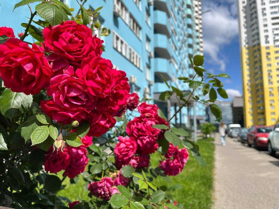 Квартира на бул. Одеський в Києві, ID 288479, фото №24