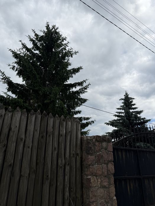 Квартира в Київ, ID 309108, фото №3