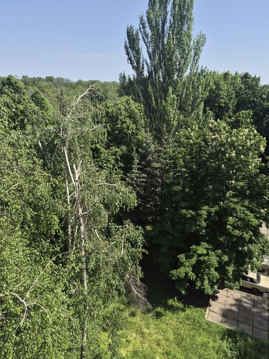 Квартира на вул. Днепровское шосе, 64 в Кривому Розі, ID 202337, фото №4