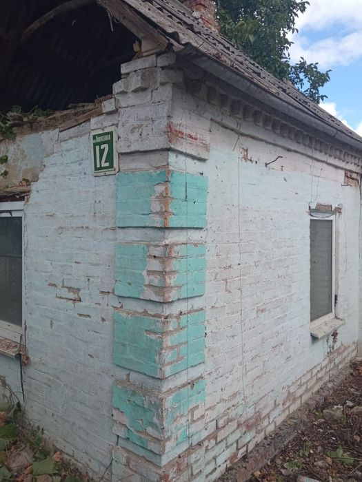 Будинок на вул. Мітягіна, 12, ID 421452, фото №3