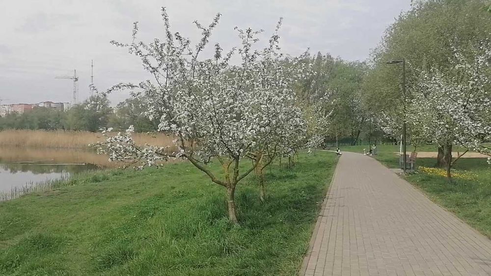 Квартира на вул. Залізняка, 1-Б в Хмельницькому, ID 220157, фото №22