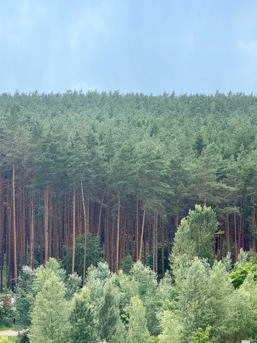 Квартира на ЖК Сіті Парк в Києві, ID 285133, фото №11