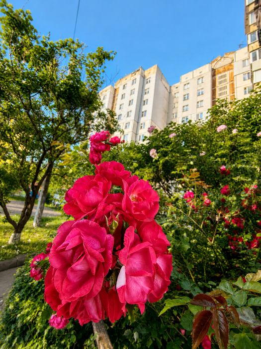 Квартира на вул. Чорновола, 42Б в Києві, ID 306436, фото №18