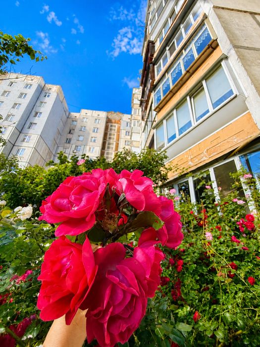 Квартира на вул. Чорновола, 42Б в Києві, ID 306436, фото №19