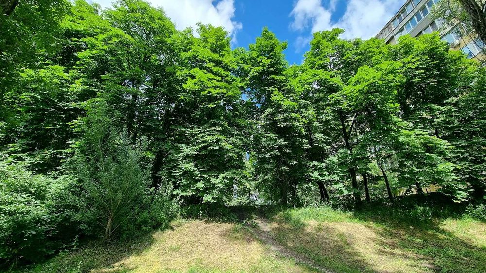 Квартира на вул. Міхновського, 3а в Києві, ID 197597, фото №18