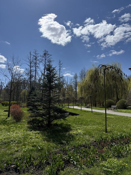 Квартира на вул. Качинського, 4В в Києві, ID 238289, фото №18