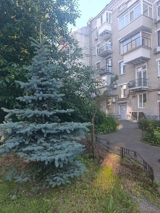 Квартира на вул. Лютеранська, 21/12 в Київ, ID 210757, фото №3
