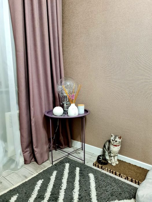 Квартира на пер. Бойчукістів в Харкові, ID 255875, фото №13