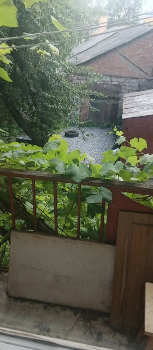 Квартира на Житній ринок в Житомирі, ID 227709, фото №3
