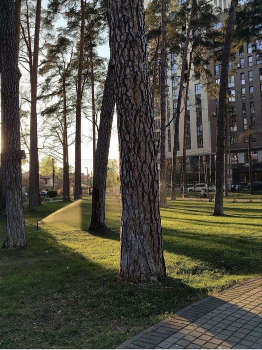 Квартира на ЖК в Центрі в Київ, ID 322443, фото №5