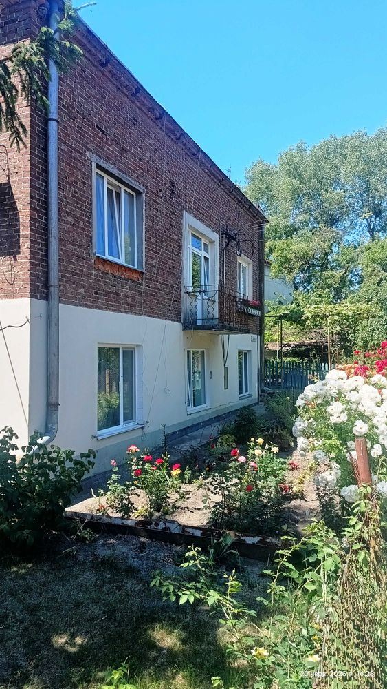 Квартира на вул. Грибова, 4 в Львові, ID 253009, фото №20