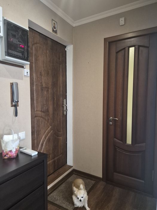Квартира на вул. Свято-Николаевська в Кривому Розі, ID 175139, фото №18