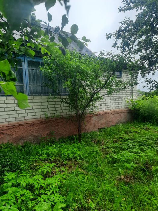 Будинок на Житомирська область, Дідовичі, ID 422523, фото №4