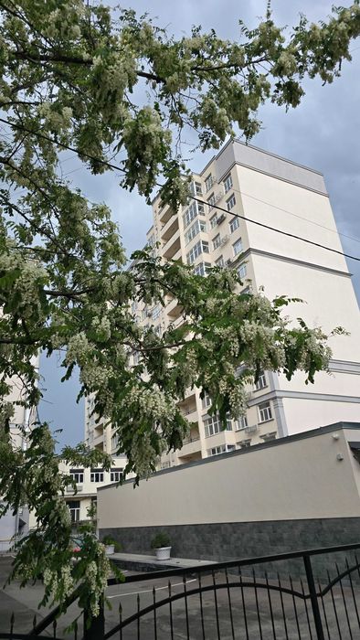 Квартира на вул. Краківська, 4 Б в Київ, ID 212530, фото №3