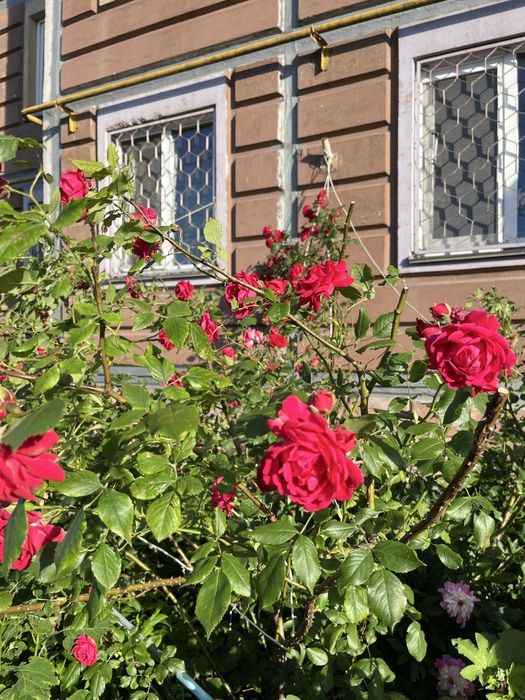 Квартира на вул. Чорновола, 42Б в Києві, ID 312959, фото №17