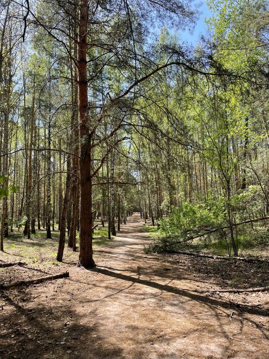 Квартира на ЖК Парк Таун в Києві, ID 308663, фото №10