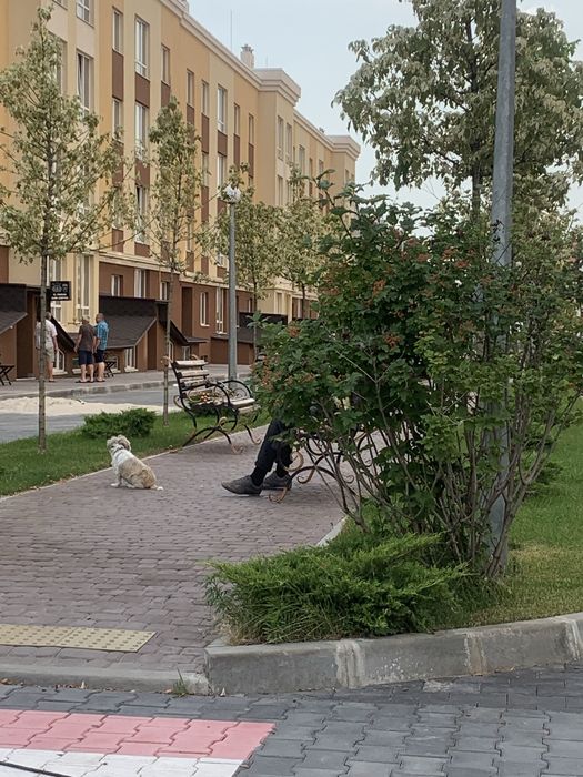 Квартира на ЖК Львівський Затишок в Києві, ID 237040, фото №9