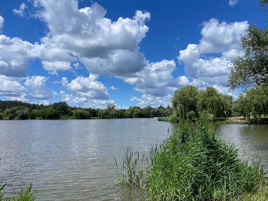 Квартира на вул. Козацька в Києві, ID 241944, фото №16