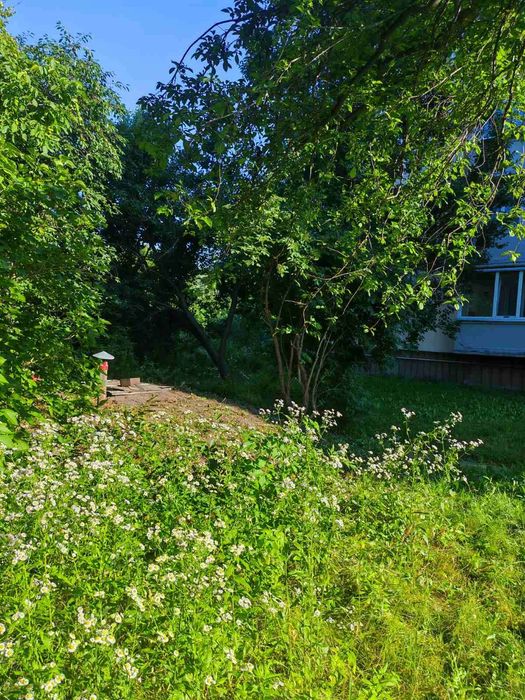 Квартира на вул. Петро-Павлівська в Києві, ID 311543, фото №12