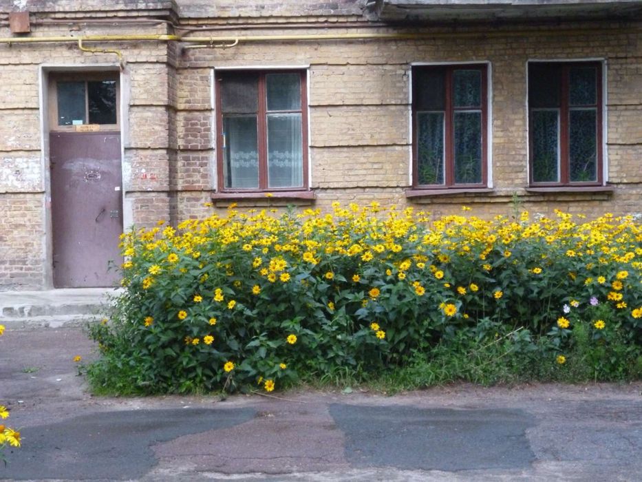 Квартира на просп. Мира, 1/3 в Чернігів, ID 255004, фото №2