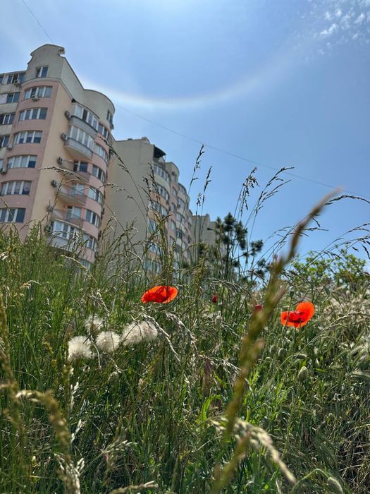 Квартира на вул. Иванова в Одесі, ID 311310, фото №16
