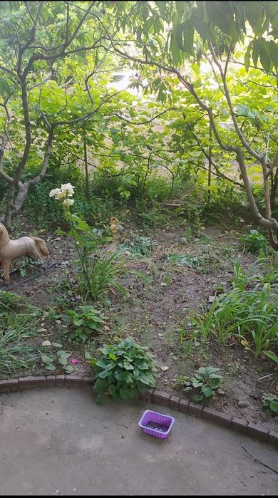 Квартира на вул. Ярослава Мудрого в Одесі, ID 364585, фото №3