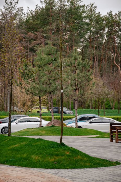 Квартира на ЖК Молодість в Києві, ID 223296, фото №12
