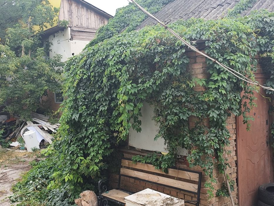 Будинок на вул. Андріївська, ID 423441, фото №2