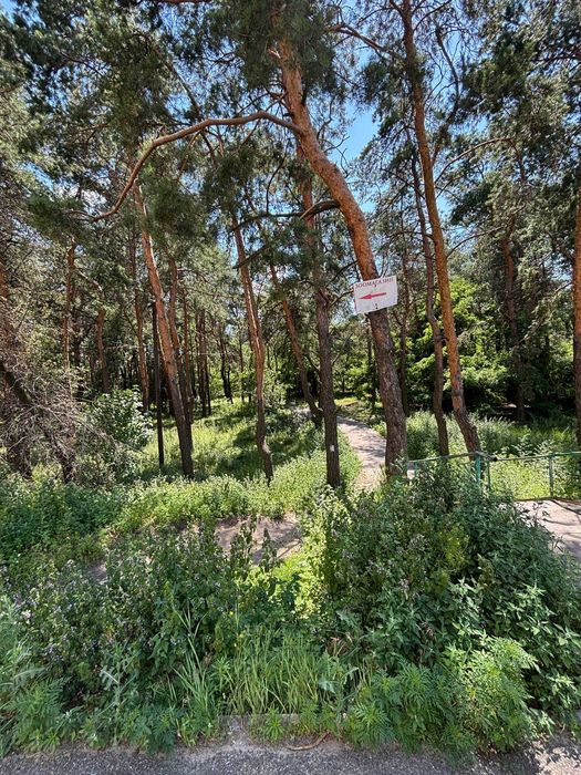 Квартира на вул. Алматинська, 39-Е в Києві, ID 170411, фото №18