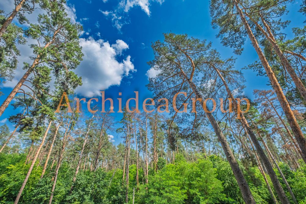 Квартира на ЖК «Ірпінські Липки» в Києві, ID 230997, фото №12