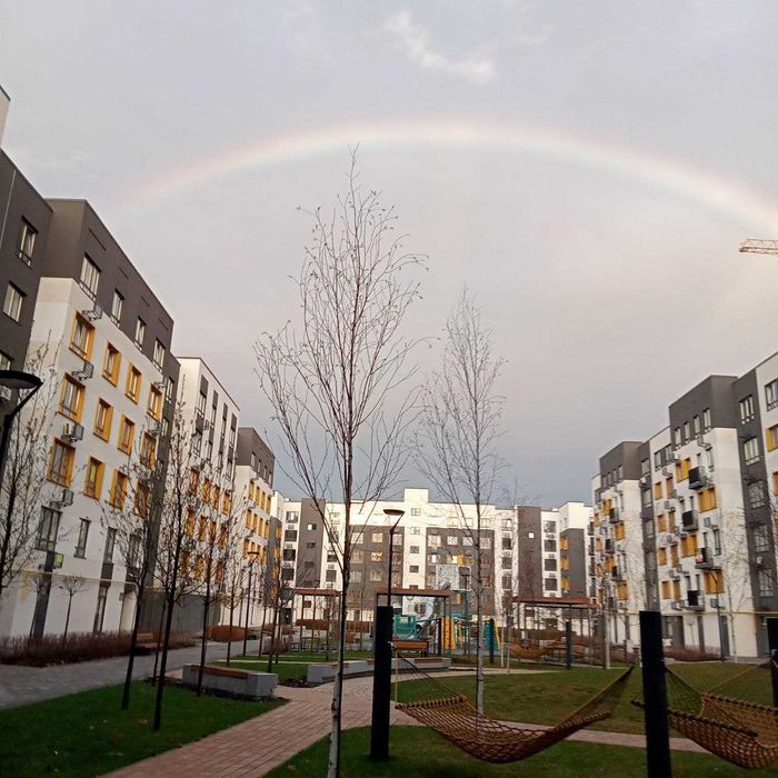 Квартира на вул. Соборна, 2-К/35 в Київ, ID 249924, фото №2